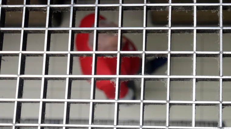 Obećao mu 'srediti' pomilovanje, uzeo 82.000 kuna, a odvjetnika nikad nije nazvao