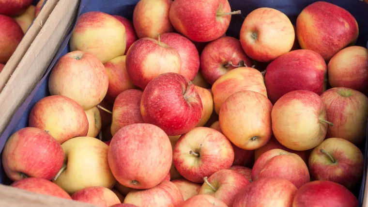 Voćar iz Đakova pokrenuo akciju: Uberite jabuke, platite ih po 4 puta manjoj cijeni od one iz dućana