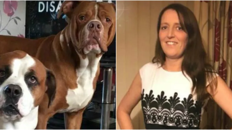 Užas u Britaniji: Ženu nasmrt izgrizli njezini psi. Stravičan događaj su vidjela njezina djeca