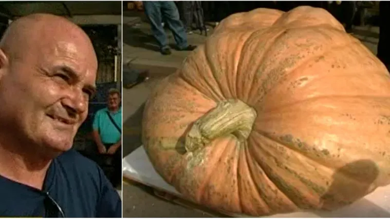 Hrvatska ima bundevu &scaron;ampionku! Ima 580 kilograma, tro&scaron;ila je oko 400 litara vode...