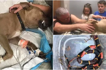 'Dao je svoj život kako bi zaštitio naše sinove'