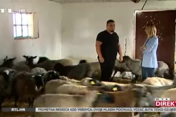 Svećenik pastir iz Podravine čuva i ljude i ovce: 'Miljenica mi je Đurđica, nju sam othranio na dudu'