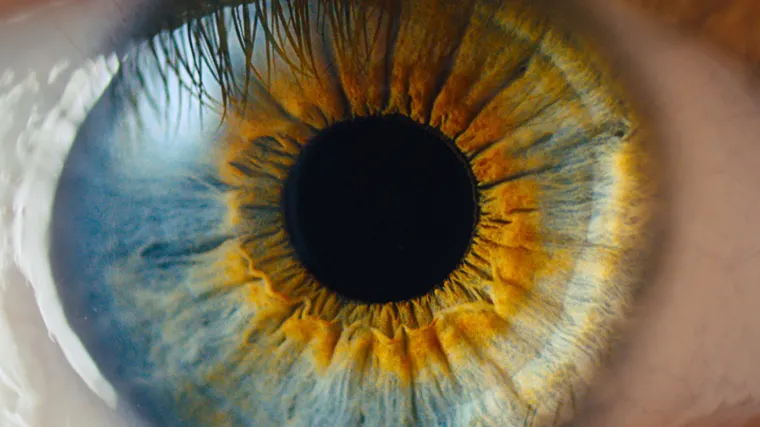 Huawei predstavio 'True Stories' kampanju &ndash; posvećenu prednostima otvorenog pristupa tehnologijama