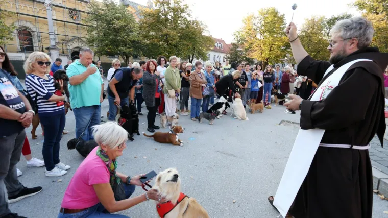 Nesvakida&scaron;nji blagoslov u Karlovcu: Župnik tradionalno blagoslovio pse, mačke, ptice i ponekog zeca