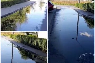 Gaze po fekalijama, guše se u smradu, a neki su se i razboljeli