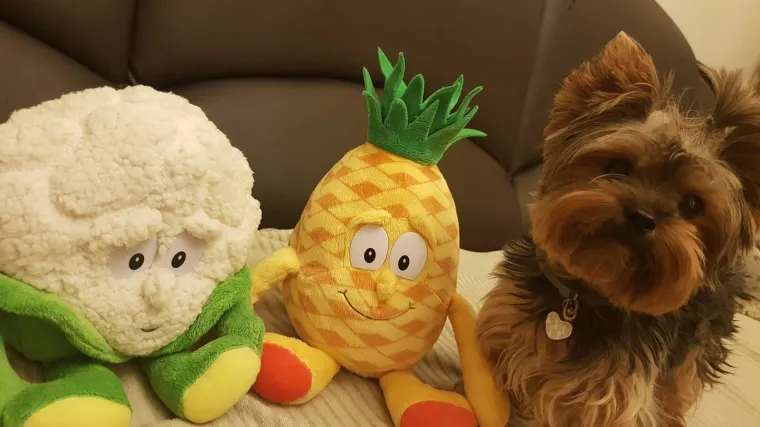 &Scaron;to stoji iza neobične fotografije na Facebooku? 'Tuga nas ubija. Sve ćemo napraviti da nam ju vratite'