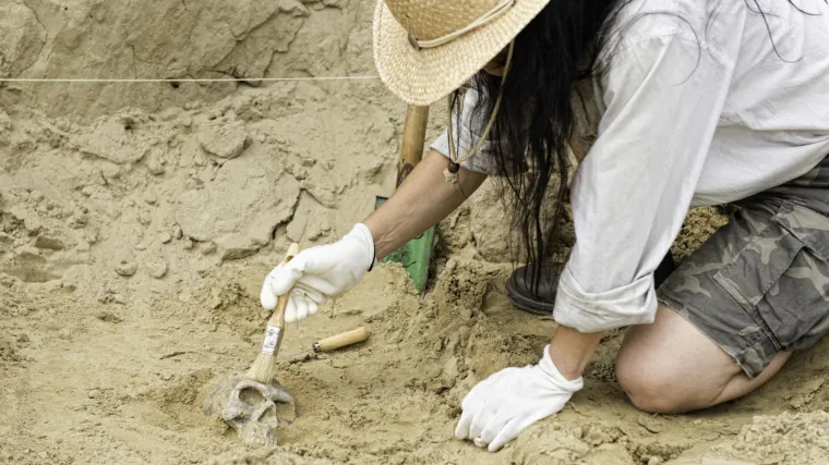 Tragovi na kostima otkrivaju originalni način čuvanja namirnice