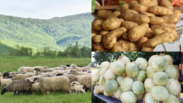 Nova &scaron;oping meka: Istražili smo za&scaron;to građani iz svih dijelova Hrvatske hrle u Liku