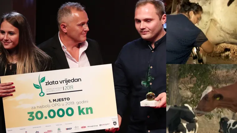 Oni su dokaz da se može: Obitelj Bačani iz prigorskog sela Rumenjaki ima 43 krave i najbolji OPG!