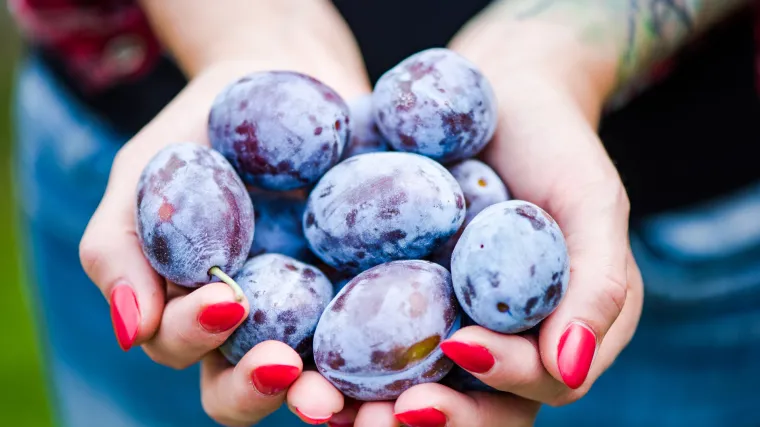 10 namirnica koje će vam pomoći kod zatvora