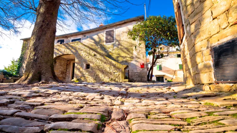 Bili su pred izumiranjem, no sve se preokrenulo: 'Mislili smo da je to kraj sela, ali onda...'