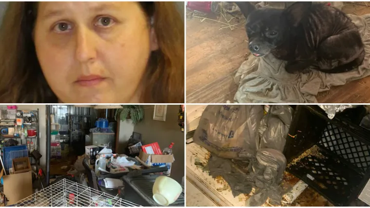 FOTO Jezivi prizori u 'kući strave': Troje djece živjelo je u kući s 245 životinja, mokraća i izmet posvuda!