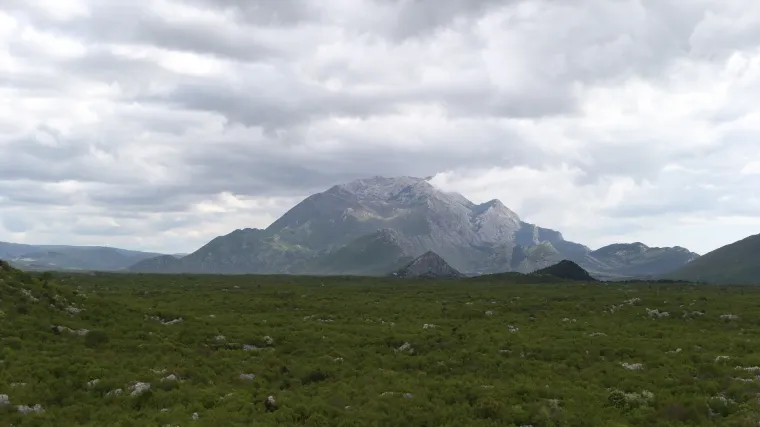 Toponim - značenje koje imaju toponimi