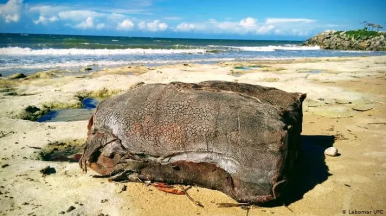 Je li riječ o teretu s davno potonulog njemačkog broda?