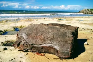 Je li riječ o teretu s davno potonulog njemačkog broda?