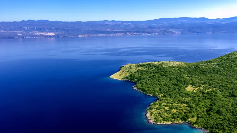 Znate li koje su biljke jadranskog mora?