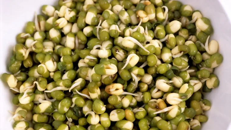 Zlatni grah: Saznajte sve o ovoj vrsti graha