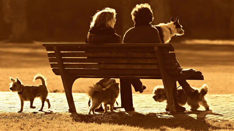 Nijemci mogu biti pokopani s kućnim ljubimcima: 'Mnogi imaju snažne emocionalne veze s njima'