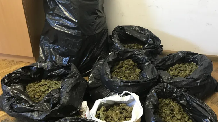 Trogir: Dolijao diler kod kojeg je pronađeno 17 kila marihuane i eksploziv