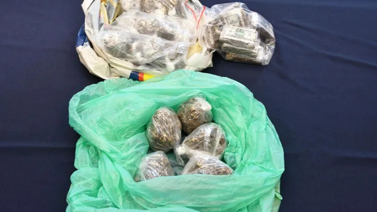 Nera je otkrila heroin, a Jack marihuanu! U Slavoniji zapljenjeno ukupno 30 kilograma droge