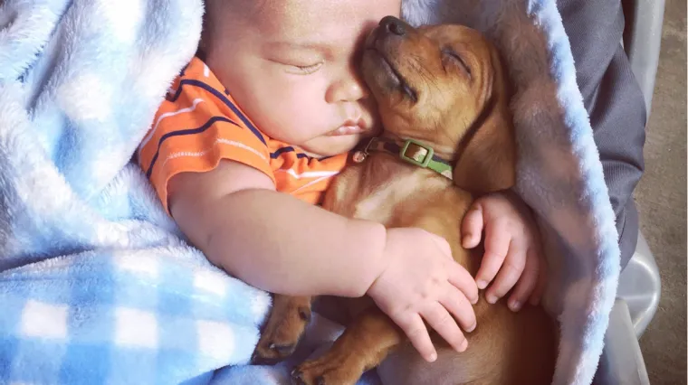 Raznježit ćete se: Fotografije koje pokazuju koliki su djeca blagoslov