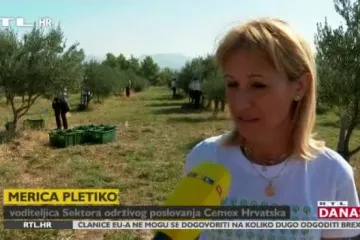 Masline o kojima se brinu branitelji iz zadruge proizvodi ljekovito ulje i osvaja brojne nagrade