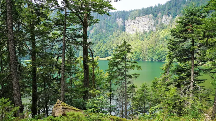 Znate li koje je najveće jezero u Austriji?