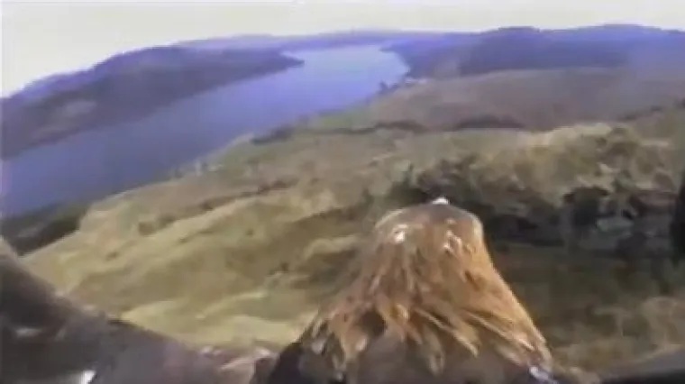 Znanstvenici pokrenuli kampanju za prikupljanje novca: Orlovi 'natukli' ogromne račune zbog roaminga!