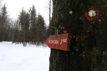 Nacionalni park Risnjak: Saznajte sve o ovom nacionalnom parku