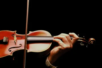 U vlaku zaboravio violinu staru 310 godina i vrijednu preko dva milijuna kuna