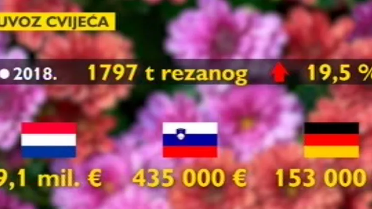 Uvoz svijeća i cvijeća: Po potro&scaron;nji smo drugi u Europi, a za Sve svete proizvedemo 20.000 tona otpada