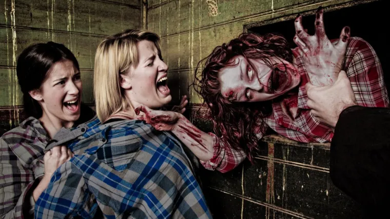 Stručnjaci objasnili za&scaron;to ljudi obožavaju stravu i užas