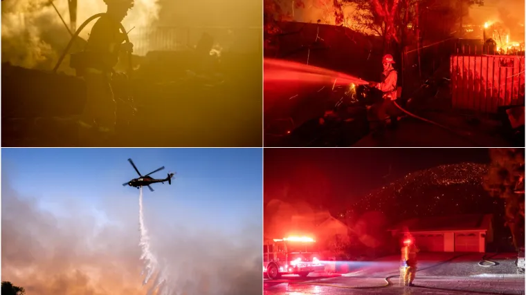 Vatra hara i Kalifornijom, stado koza pomoglo spasiti knjižnicu Ronalda Reagana