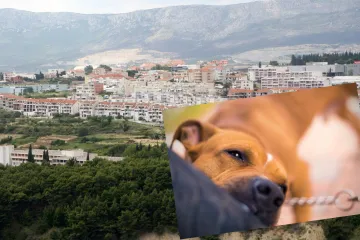 'Dohvatili su je sinoć, izletjela sam u pidžami. Pitam se tko je sljedeći na redu?'