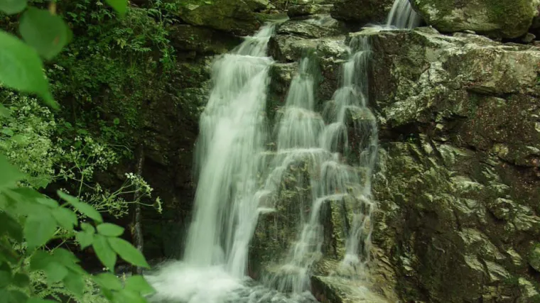 Papuk nacionalni park ili samo park prirode