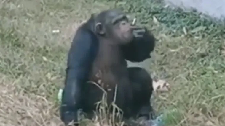 Bizarna snimka izazvala je skandal u zoolo&scaron;kom vrtu