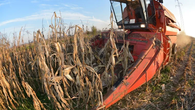 'Ma, to ne postoji, oni su do&scaron;li i zabunom obrali sve te kukuruze'