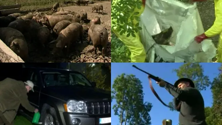 'Posljedice su stra&scaron;ne, neke već osjećamo. To će nas dokrajčiti'; Cijena mesa je već skočila