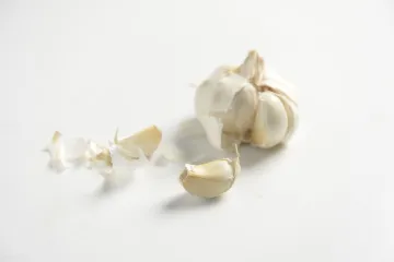 Znate li kako izgleda eko uzgoj češnjaka