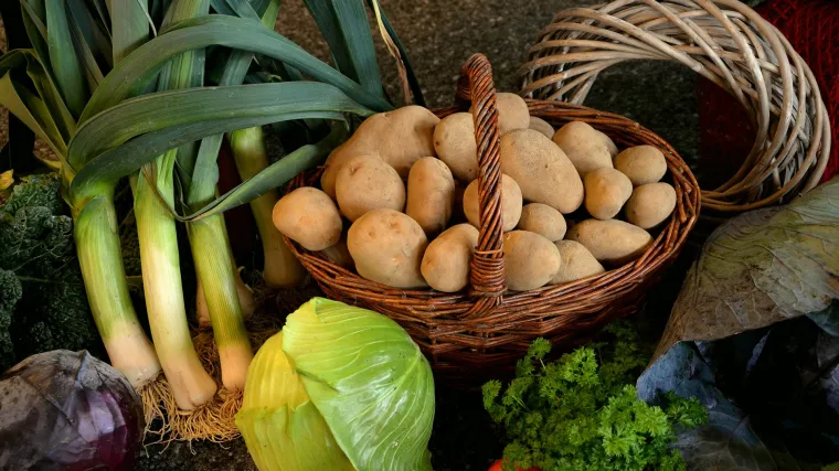 Kako odrediti plodored u vrtu - Tablica plodoreda u vrtu