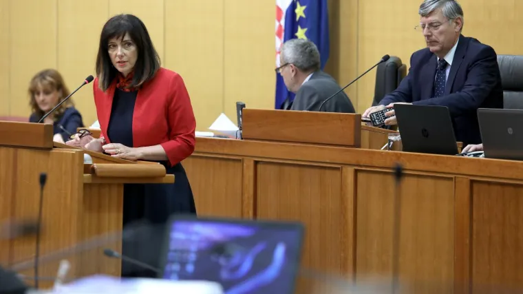 'Ona to nije verbalizirala, ali ja sam osobno to tako shvatio'