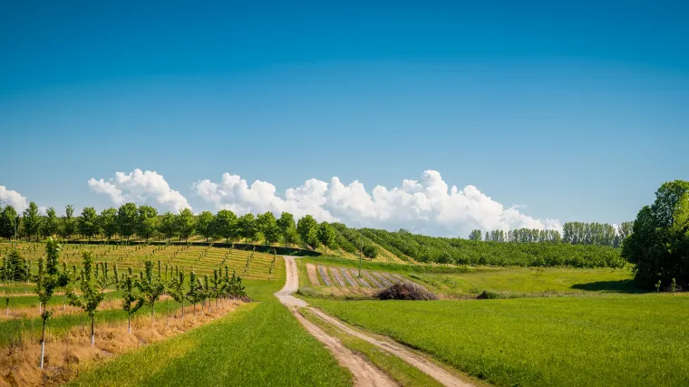Meliorativna gnojidba - Kako izgleda meliorativna gnojidba