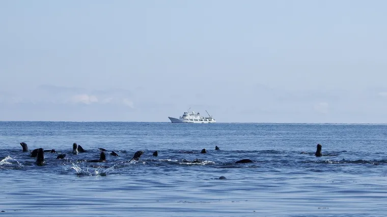 Beringov prolaz - Znate li koji tjesnac nosi naziv Beringov prolaz