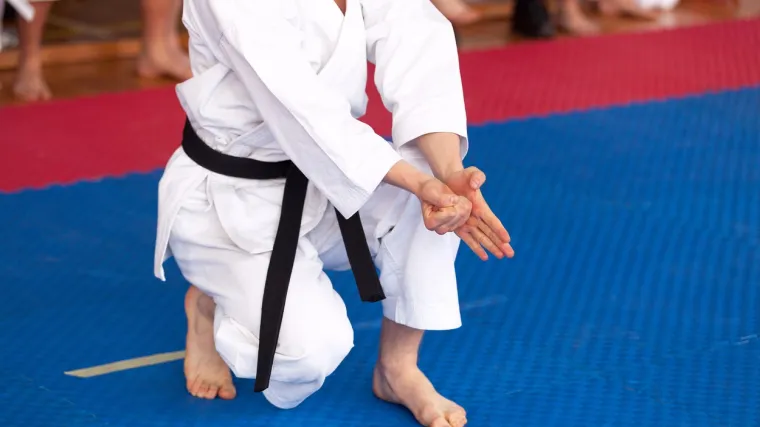 Pojasevi u karateu: Koje je značenje pojaseva u karateu?