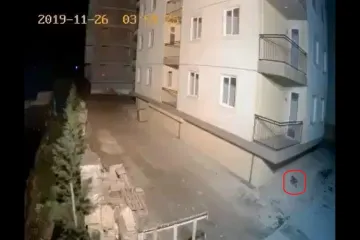 Pas je 'nanjušio' potres u Albaniji i dao šapama vjetra. Sekundu potom zgrada se zatresla