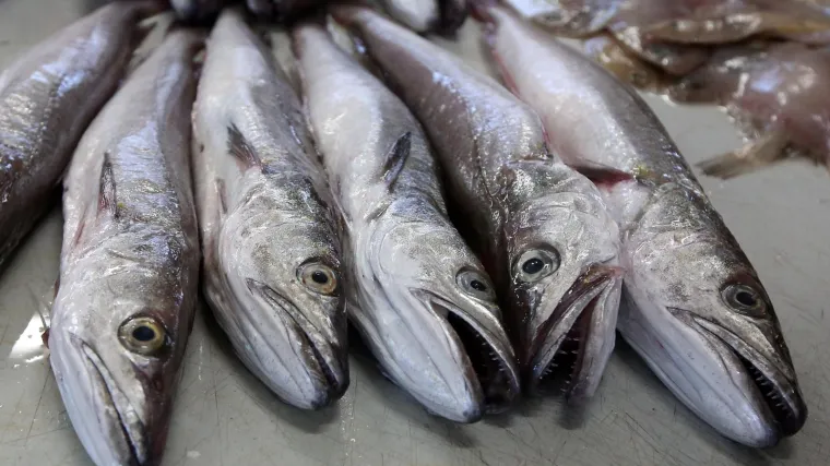 Za&scaron;tićene ribe u Hrvatskoj