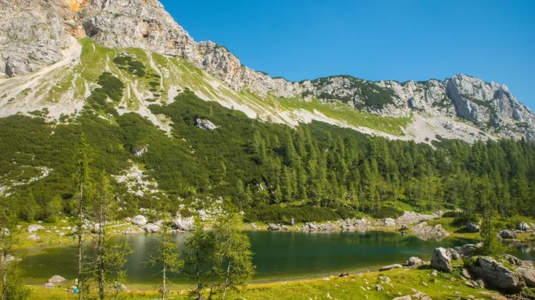 Koji su nacionalni parkovi Slovenije?