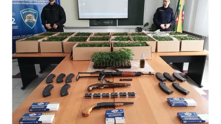 Velika policijska akcija: Zaplijenili su marihuanu u vrijednosti od milijun kuna i oružje
