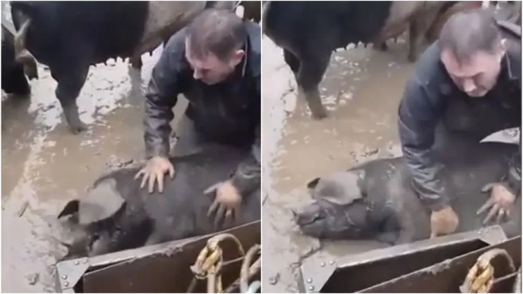 Nadljudska želja da spasi životinju bila je jača od svega. Pogledajte taj očaj...