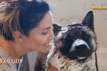 Lana Klingor sada uzgaja pse šampione: 'Moji psi i ja imamo zajedničku crtu da imamo velike guze i da smo dosta čupavi'